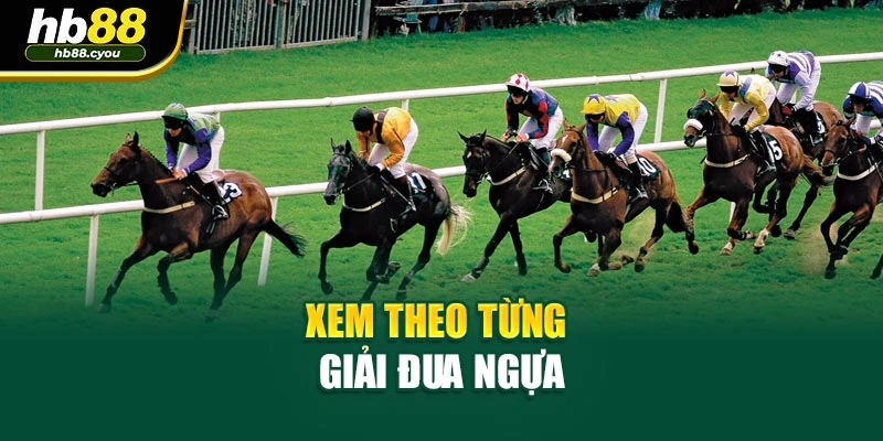 Xem theo từng giải đua ngựa