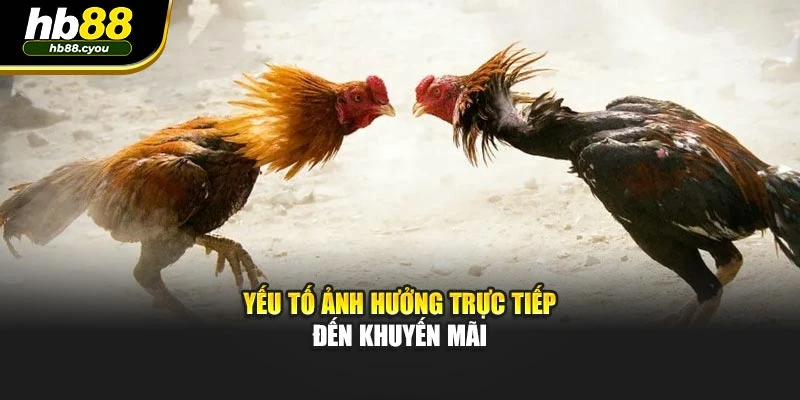 Yếu tố ảnh hưởng trực tiếp đến khuyến mãi