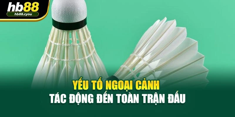 Yếu tố ngoại cảnh tác động đến toàn trận đấu